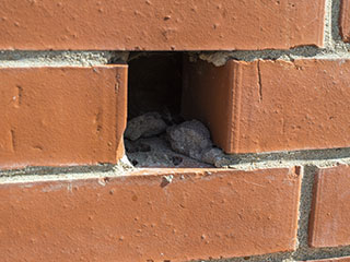 When Dryer Vent Needs Clearing? | Calabasas CA When Dryer Vent Needs Clearing? | Calabasas